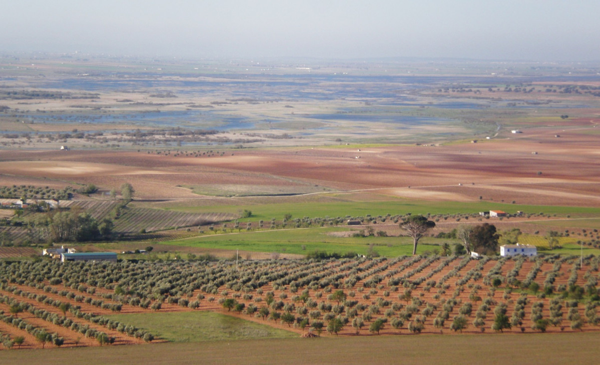Villarrubia de los Ojos, Mirador de La Mancha