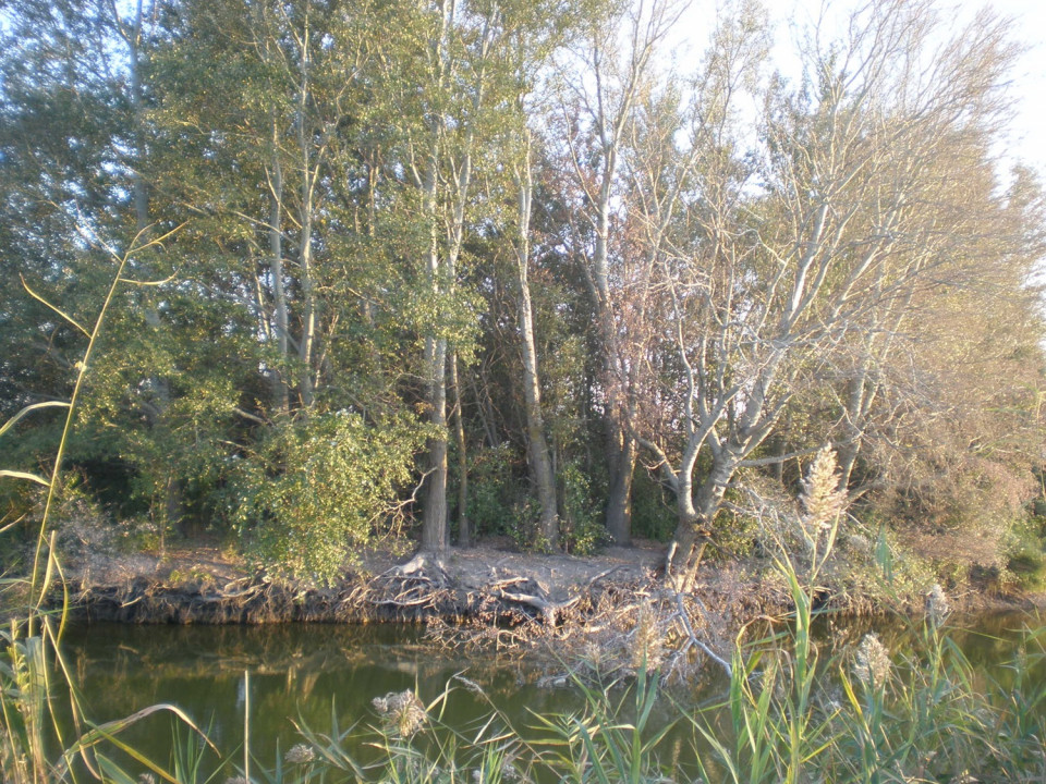 Ruta Río Cigüela
