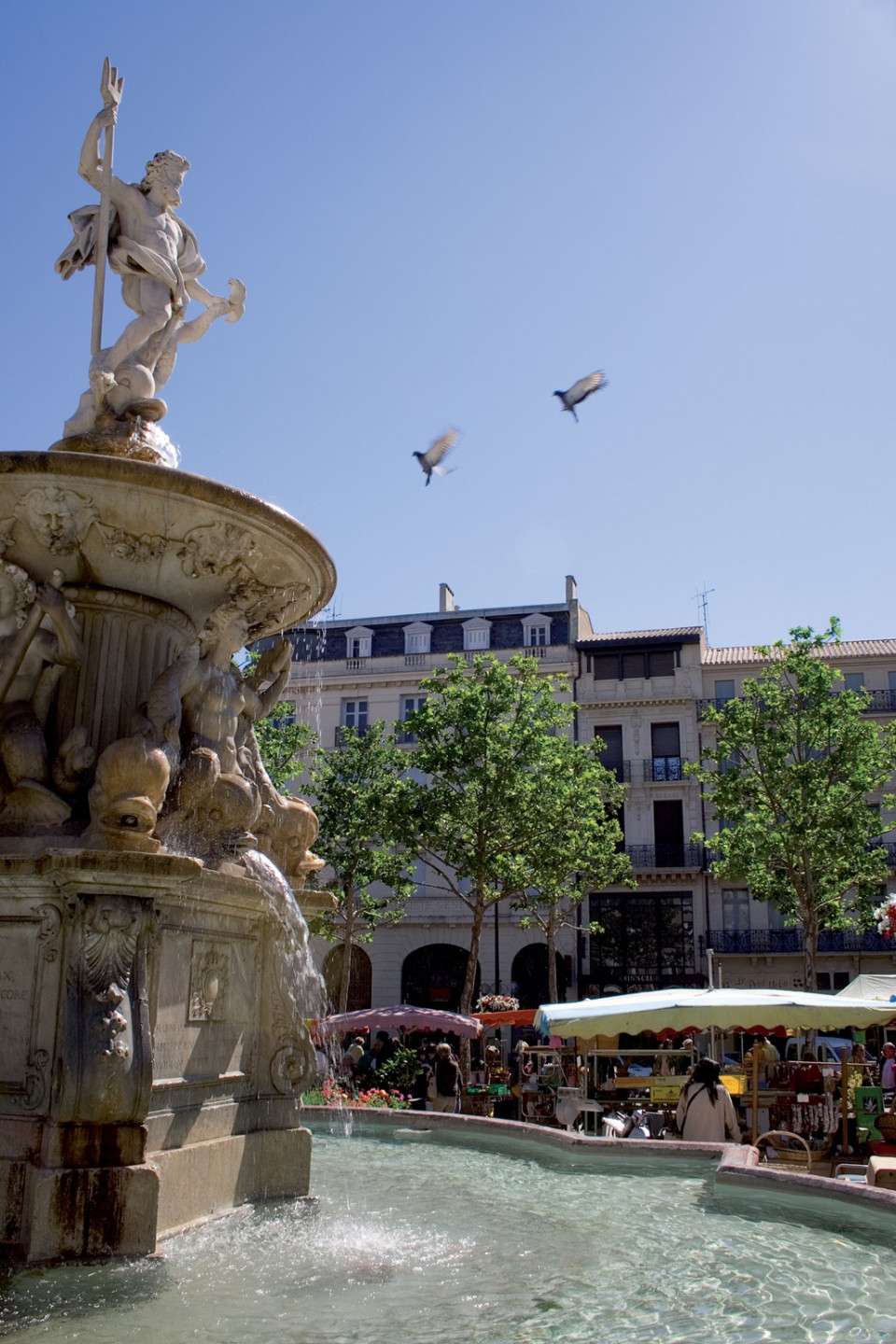 Carcasona, Plaza Carnot, @ville carcassonne