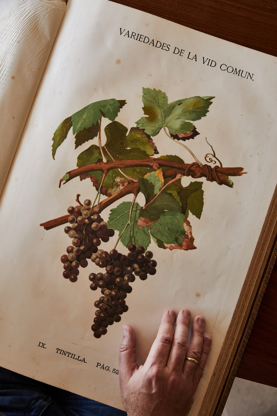 Alberto Orte, libro