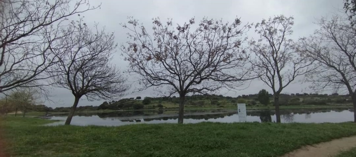Laguna Nueva