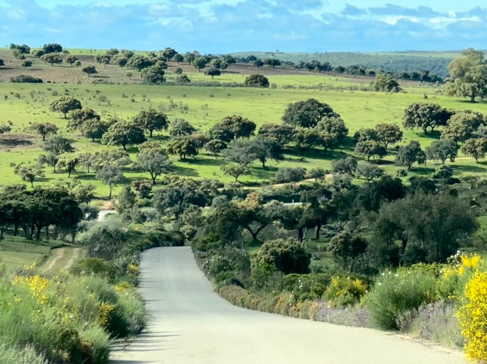 Zarza La Mayor, Paisajes