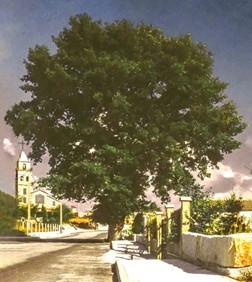 Imagen1