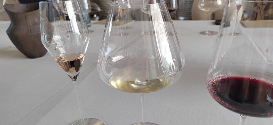 Catas vinos Masos