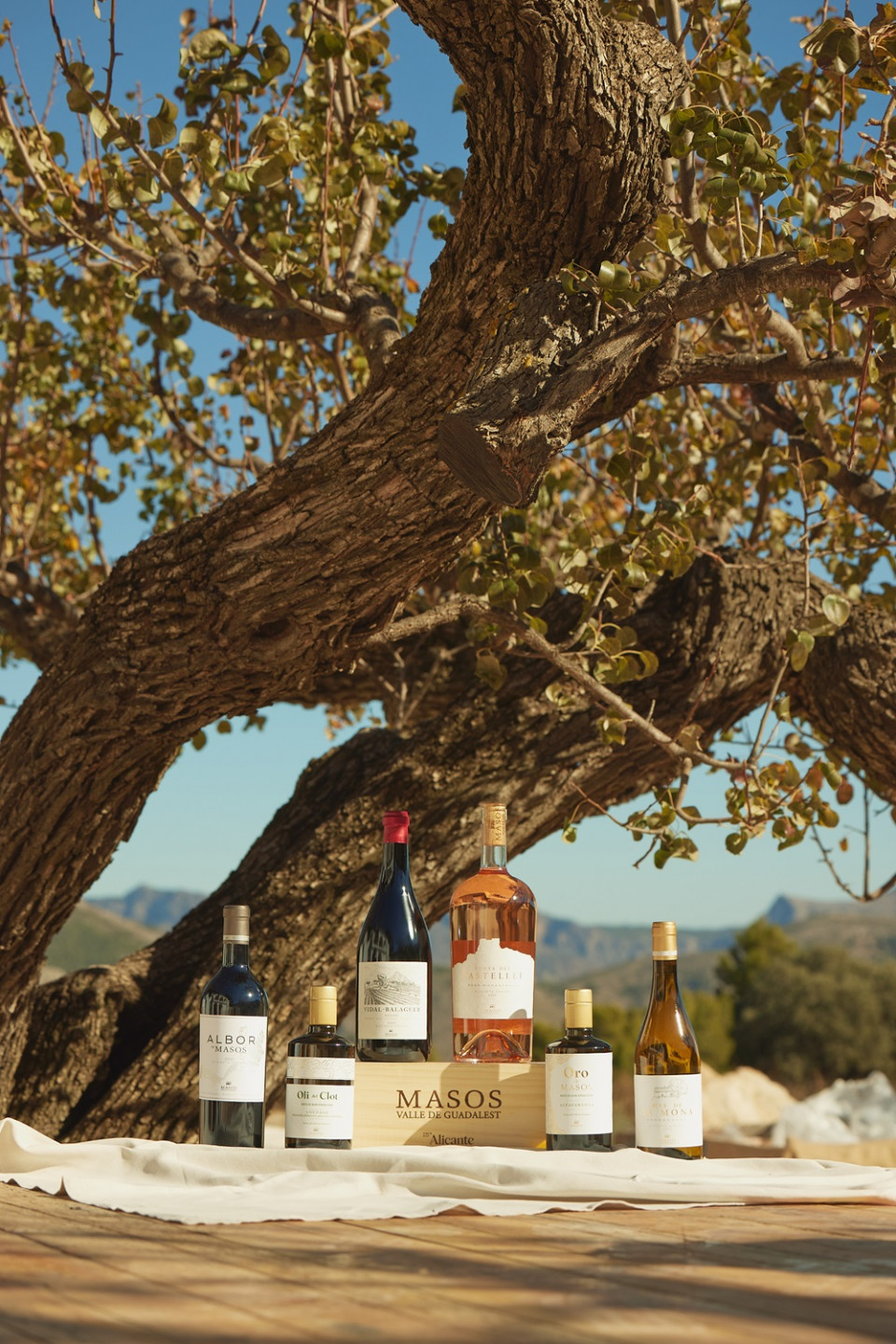 Masos vinos y aceites