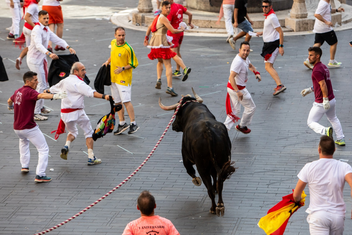 TORO ENSOGADO EN ACCIOu0301N