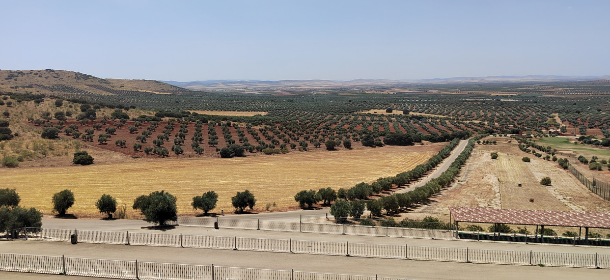 Paisaje La Caminera