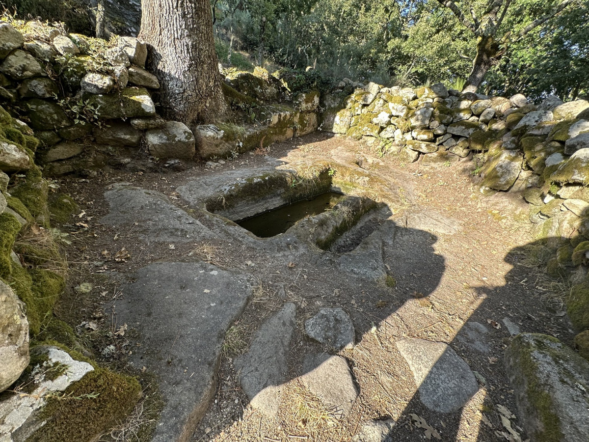 Piouca, Carballo y Lagar