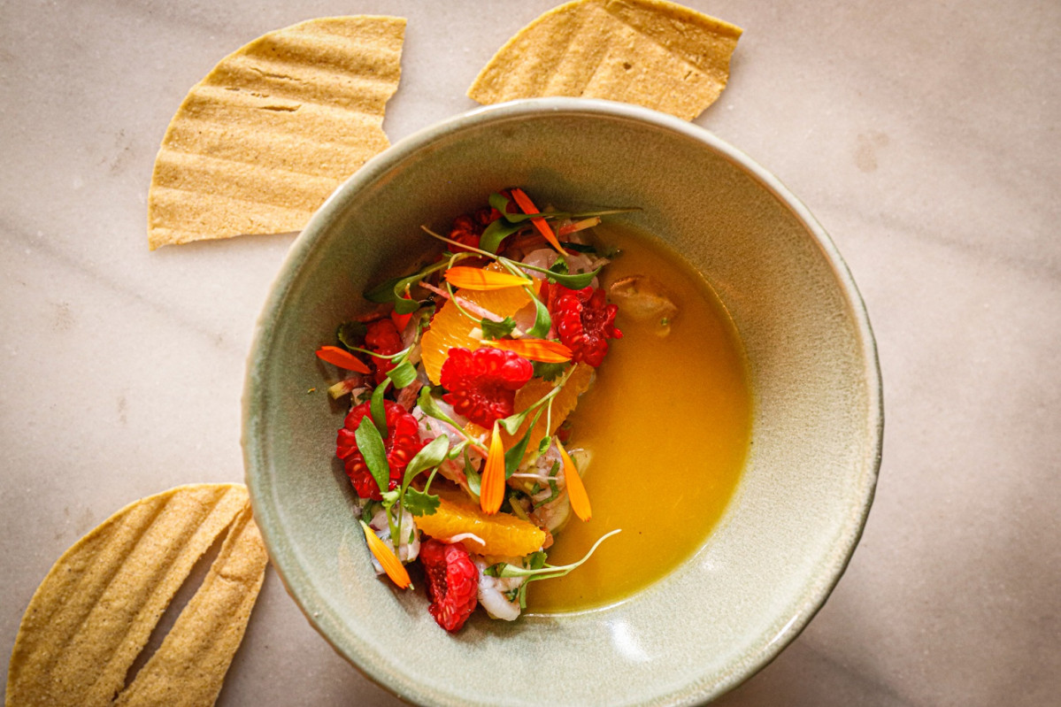 Ceviche (1)