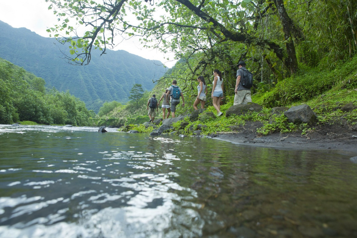 Tahitu00ed, Naturaleza viva