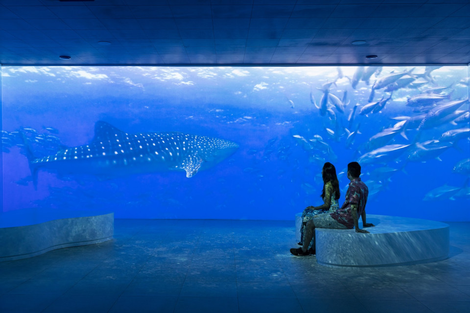 MOOREA © Grégoire Le Bacon