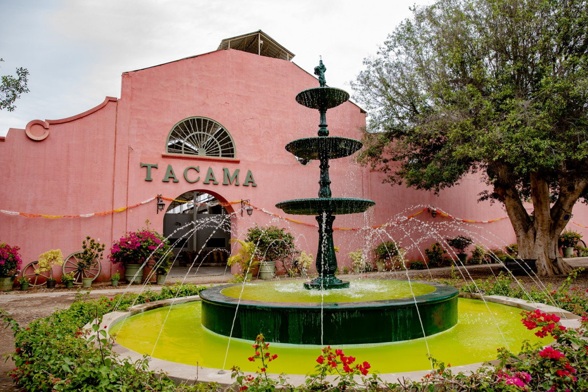 Bodega tacama