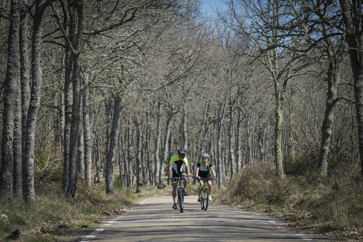 Sierra de Francia