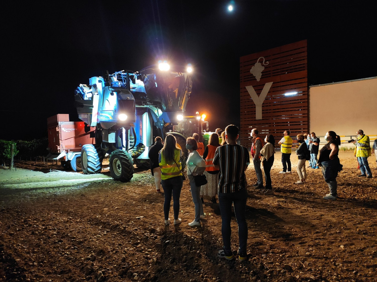 Vendimia Nocturna Bodegas Yllera