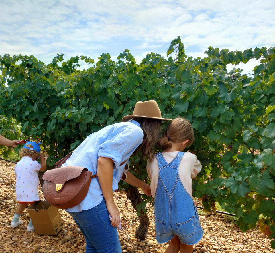 Vendimia en Familia, Bodega Menade 2023