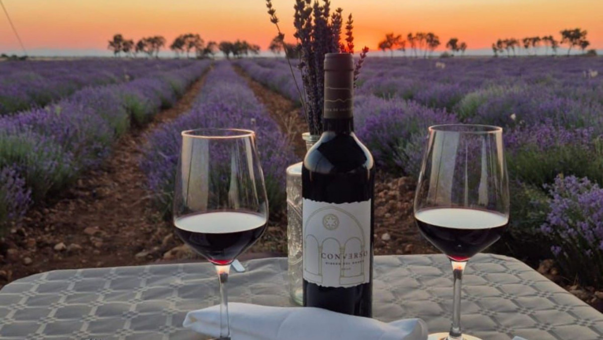 Converso, vino de Castilla Temal
