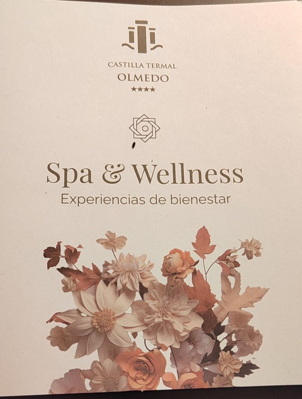 Spa & Wellness Olmedo