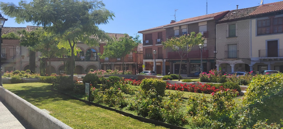 Olmedo