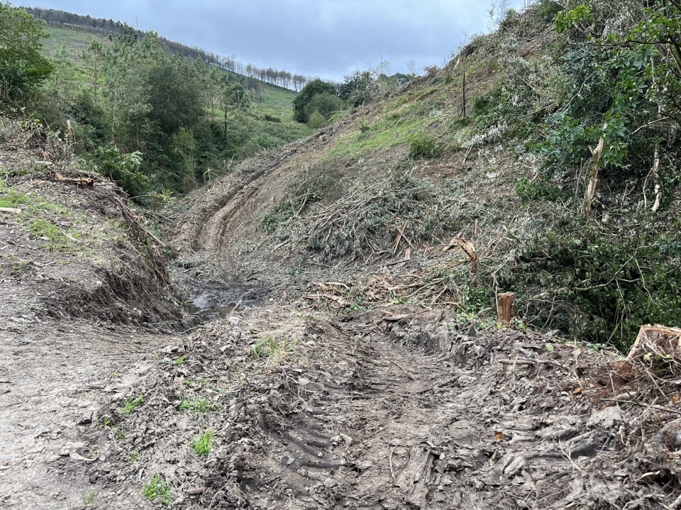Reforestación en Mouruso