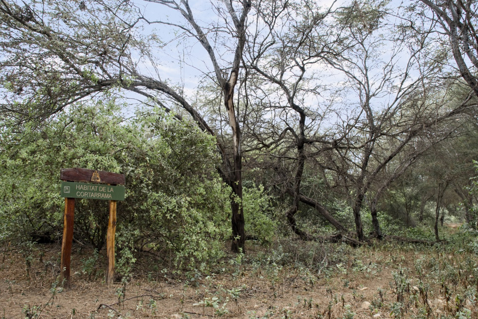 Habitat de la Cortarrama