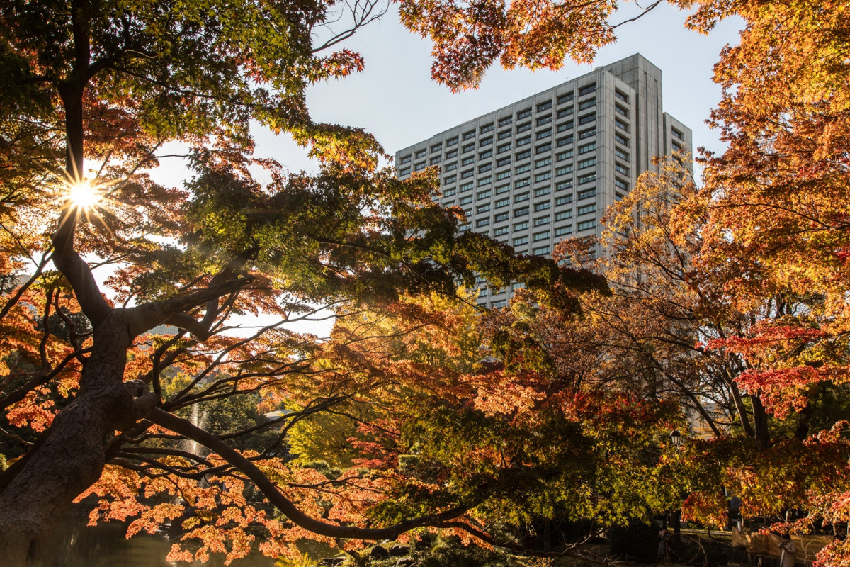 Hibiya Park, Tokyo