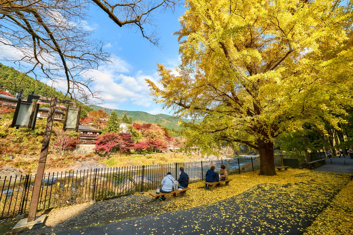 Scenic autumn views at Mitake Gorge, Tokyo