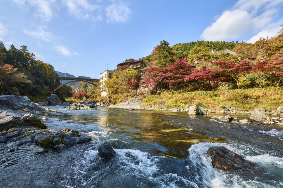 Paisaje de otoño, con vistas a Mitake Gorge