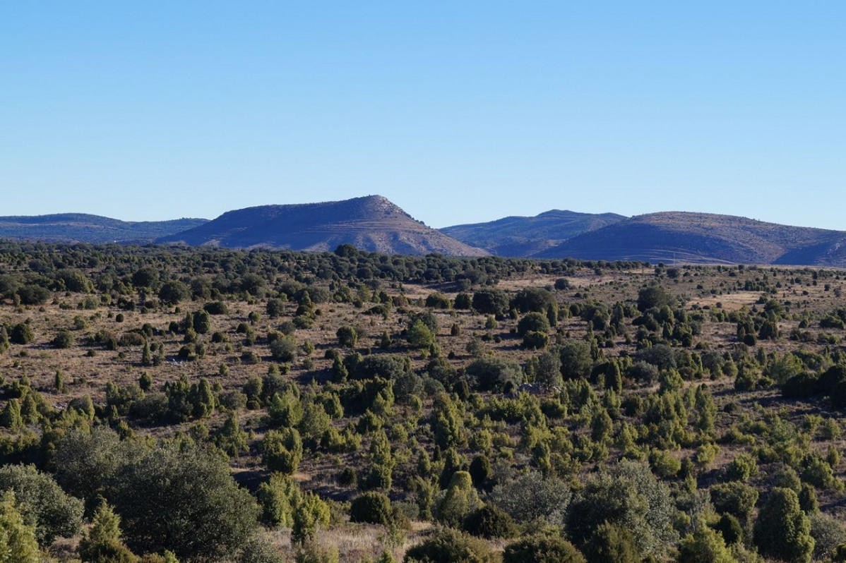 Paramera de Gargallo 7