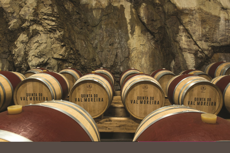 VG Douro Vineyards Adega 2