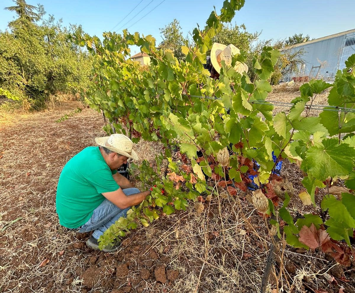 Bodegas r