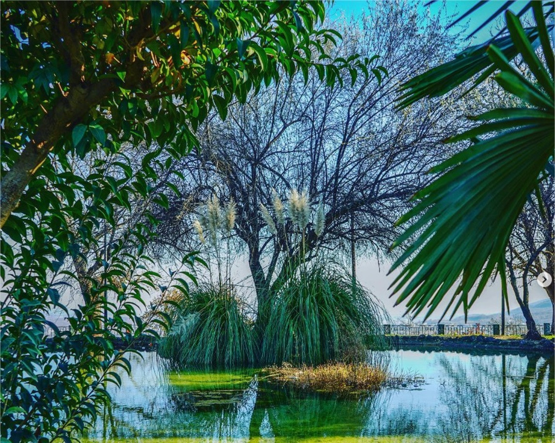 An oasis of coolness in the center of the city!