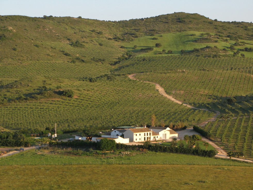 Finca la Torre y su entorno