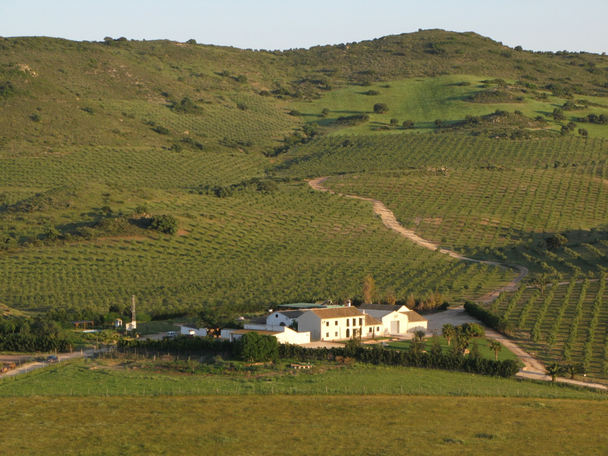 Finca la Torre y su entorno
