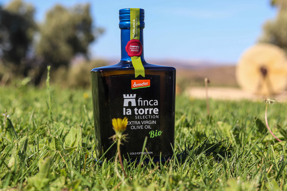 Finca la torre hojiblanca