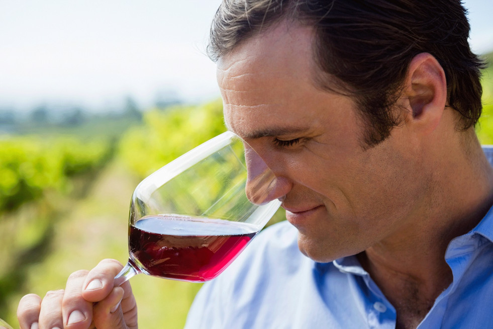 Vintner smelling glass of wine SKZN6GJ