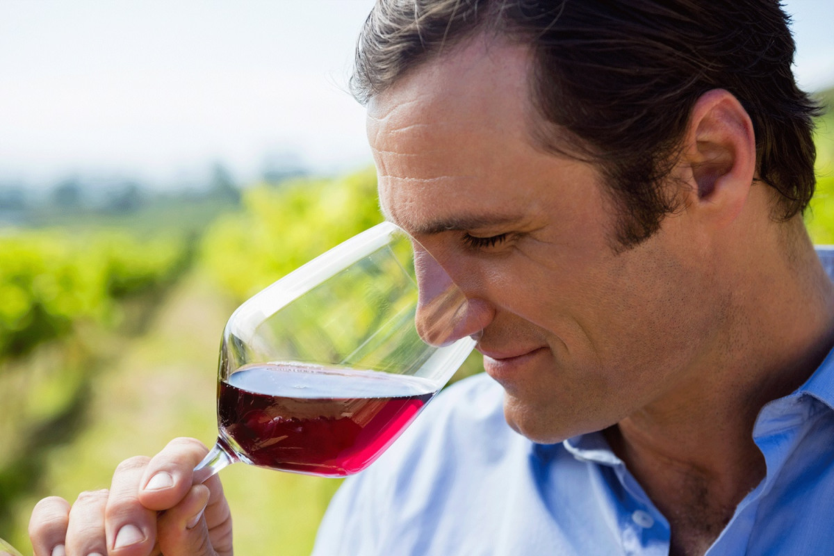 Vintner smelling glass of wine SKZN6GJ