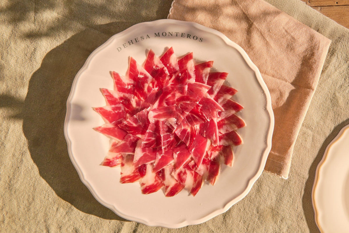 Paleta  Dehesa Monteros