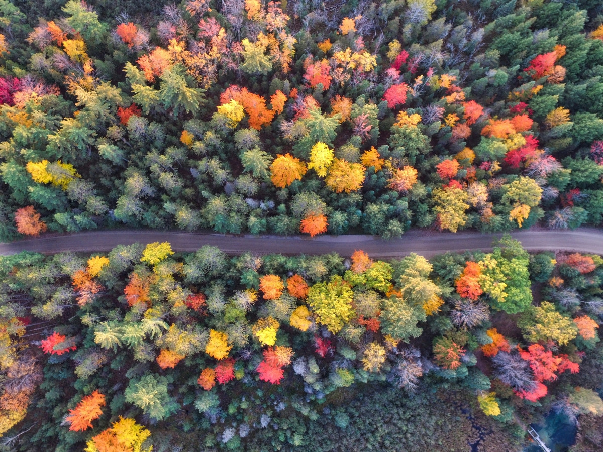 Vermont