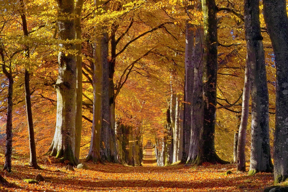 Perthshire Escocia