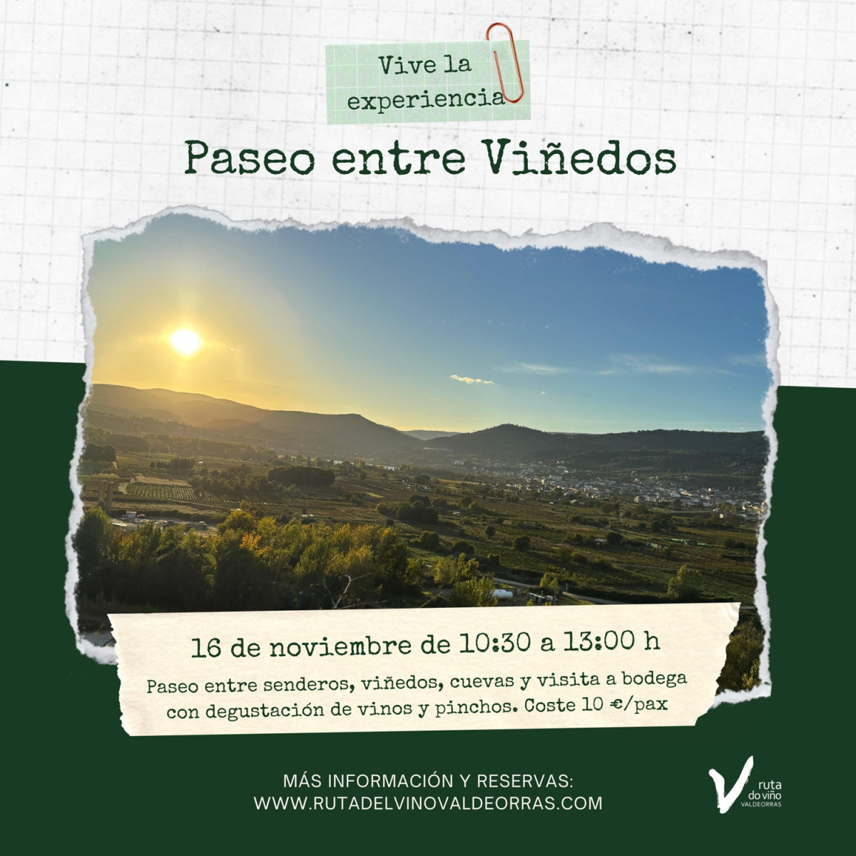 Paseo entre viu00f1edos (1)