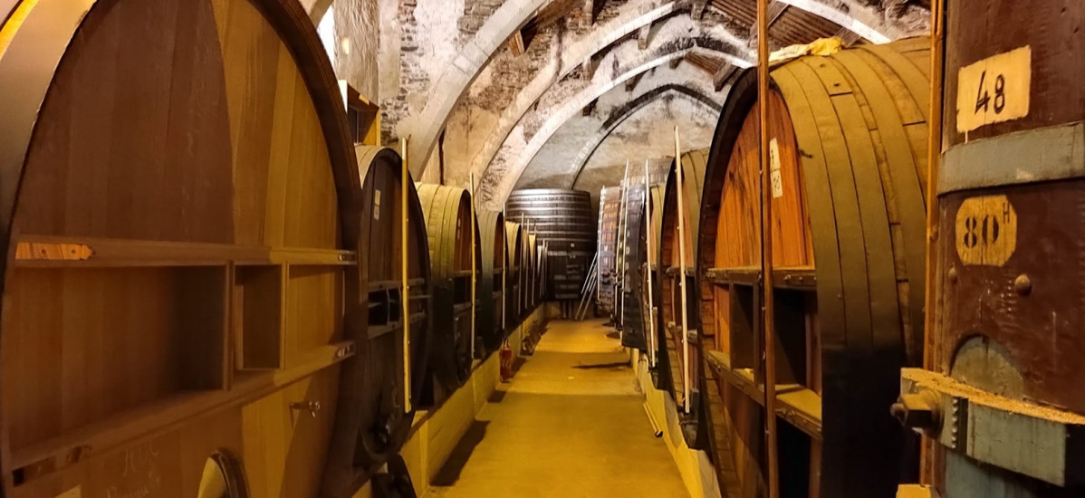 La Cave des Dominicains en Collioure