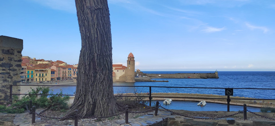 Vistas de la Bahía de Collioure con la iglesia de Nuestra Señora de los Angeles