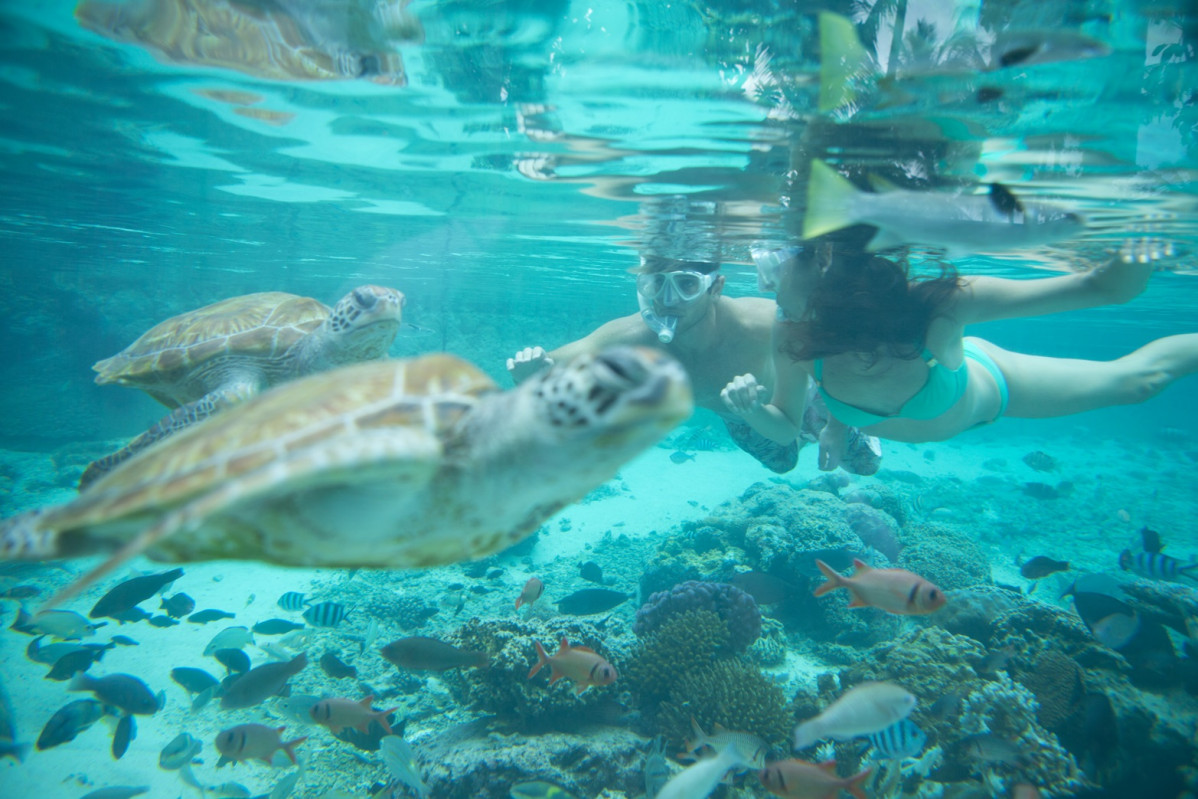 Bora Bora, submarinismo