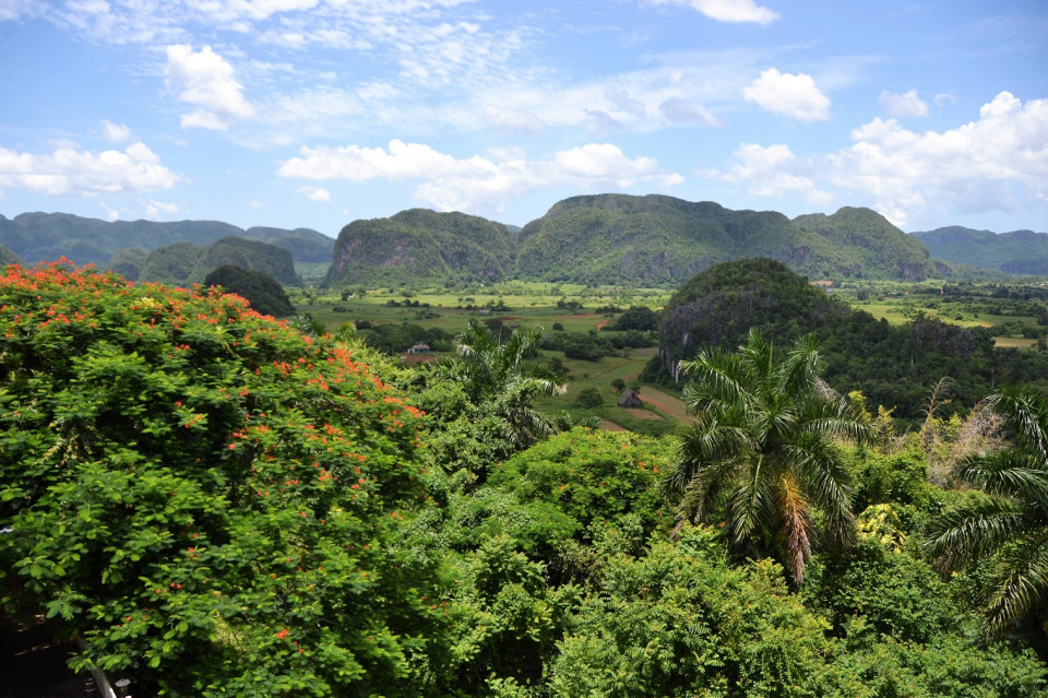 Cuba  Viñales Mogotes.j1519