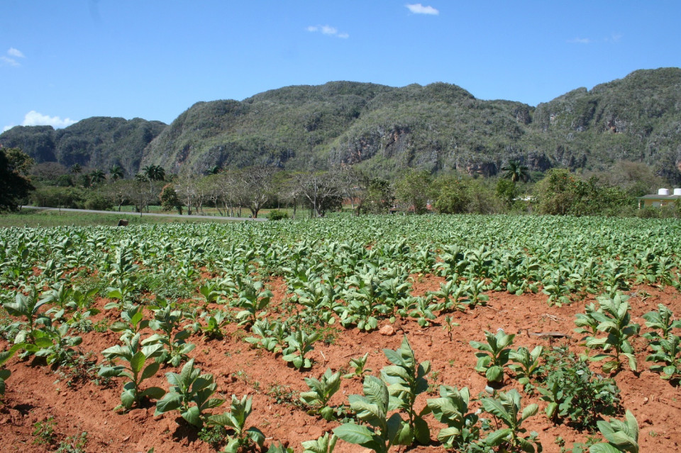 Valle de Viñales, Cuba
