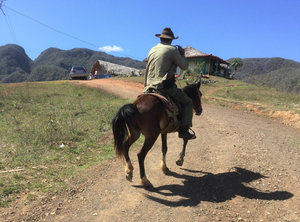 VIÑALES, PASEOS A CABALLO