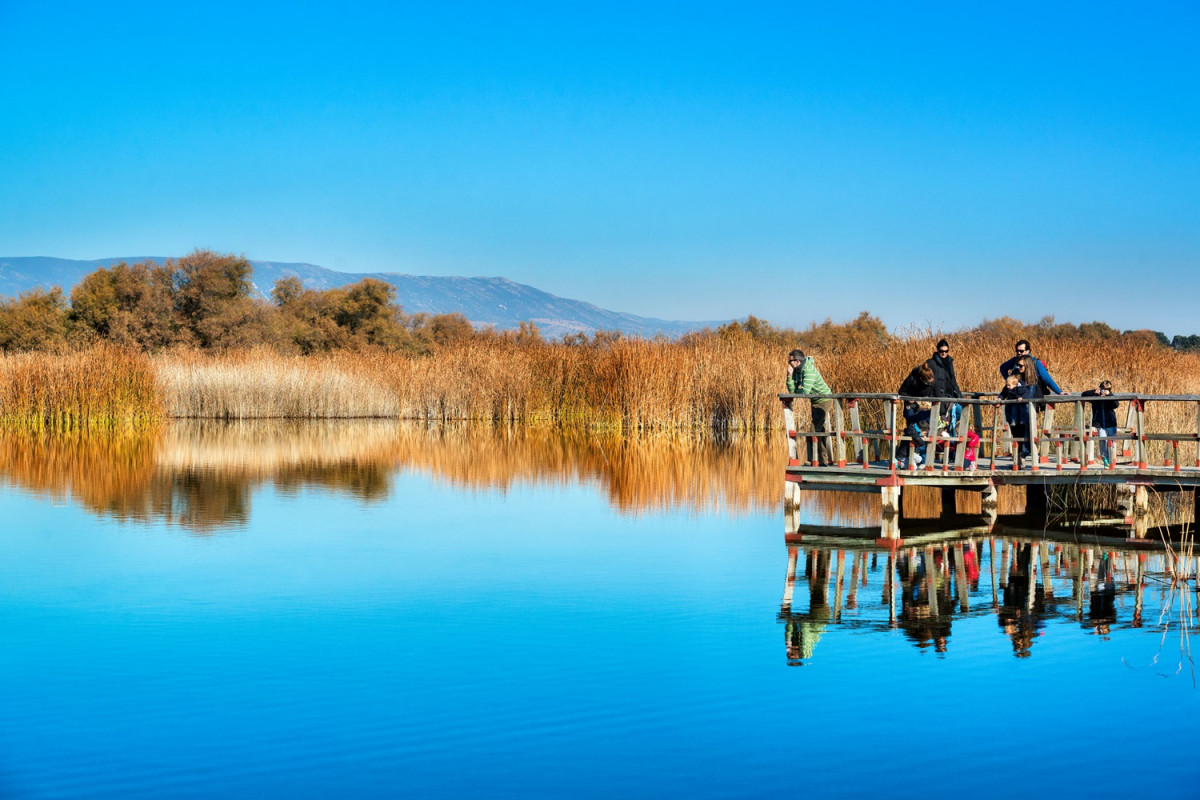 Daimiel Tabla, paisaje