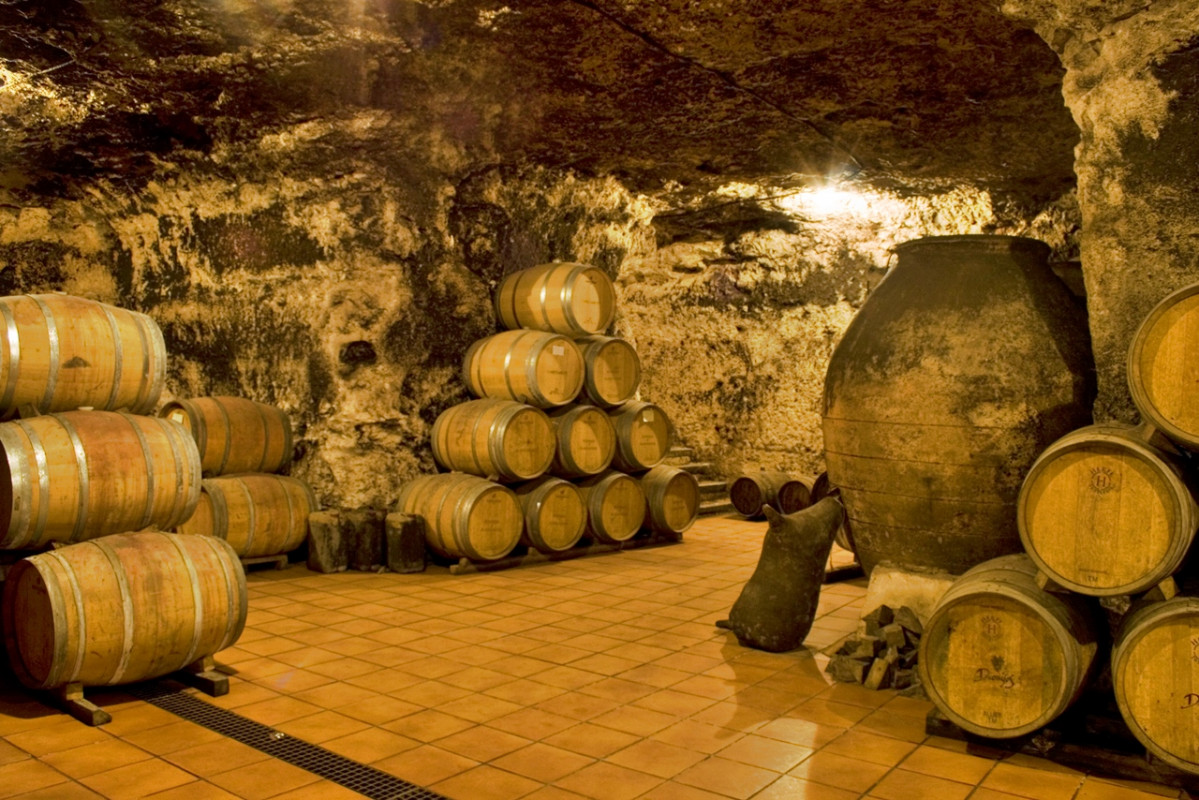 Barricas en la cueva de Bodega de Las Estrellas