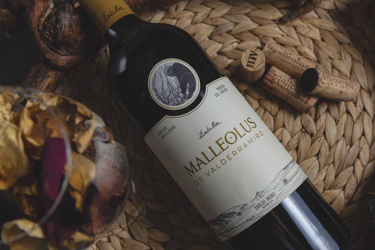 MALLEOLUS BODEGONES HQ 56 1
