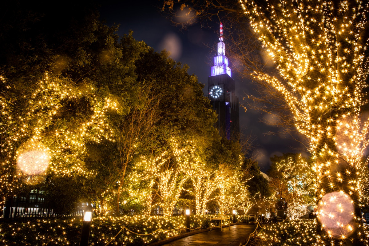 Illumination at Shinjuku Southern Terrace 01